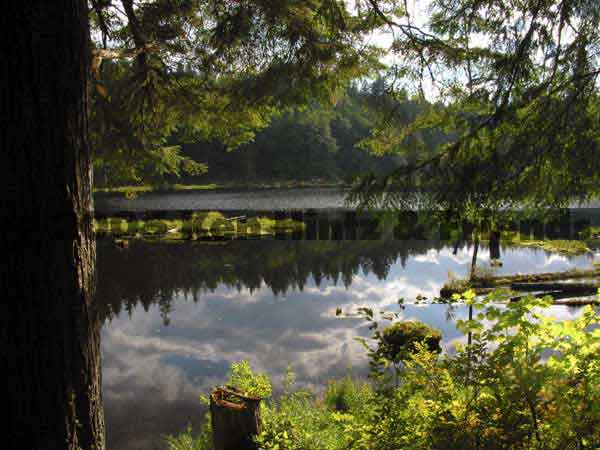 Texas Ponds in washington Cascades